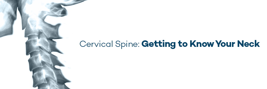 Cervical Spine: Getting to Know Your Neck